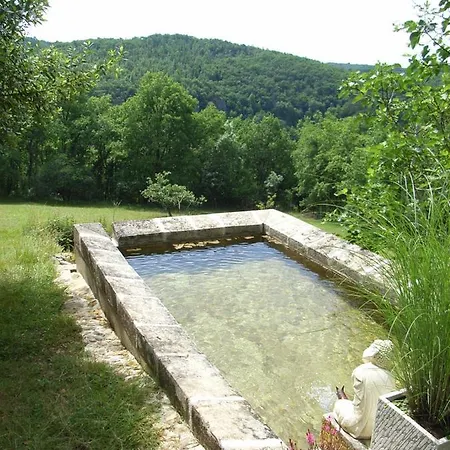 Studio aux Eyzies au coeur de la vallée de l'homme Les Eyzies Extérieur photo