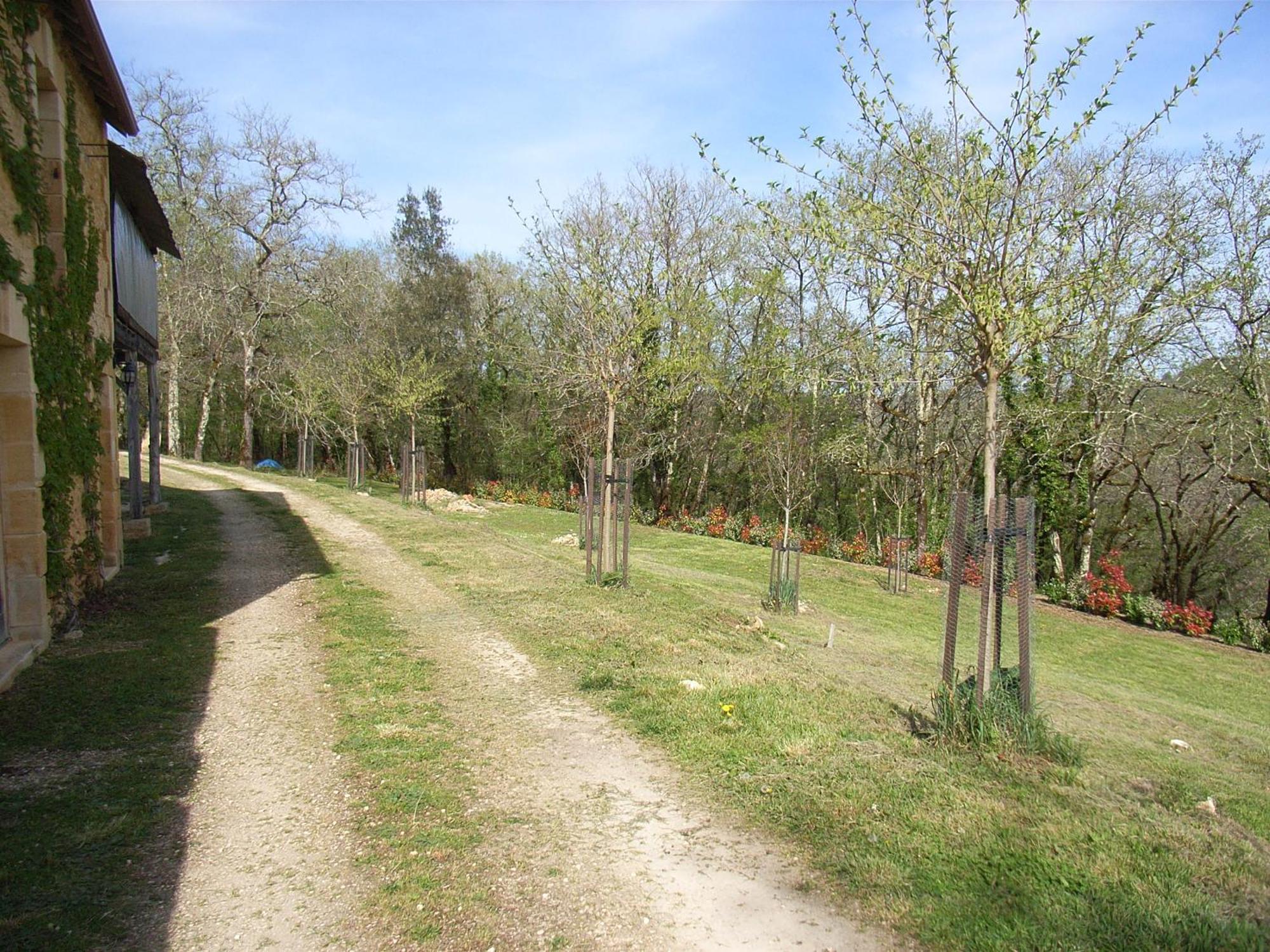 Aux Eyzies Au Coeur De La Vallée De L'homme Appartement *